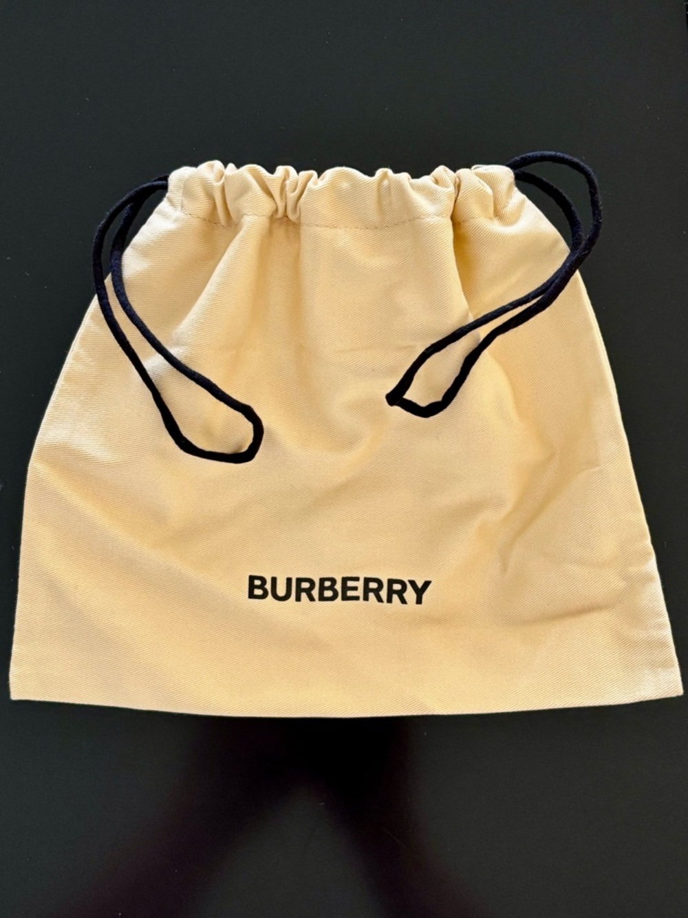 Burberry Dust Bag